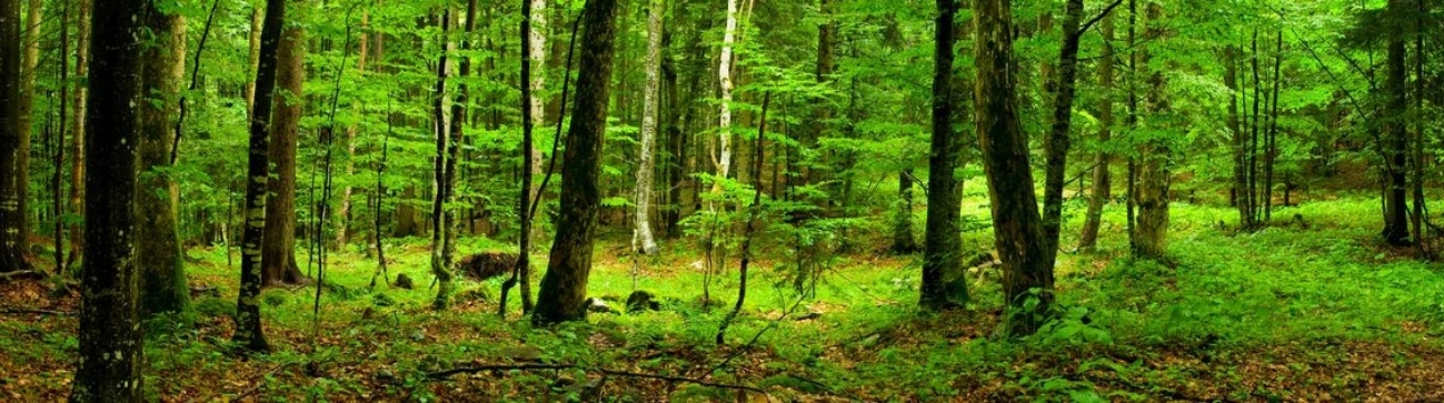 … Shop-Rubrik: Die Natur-Drogerie